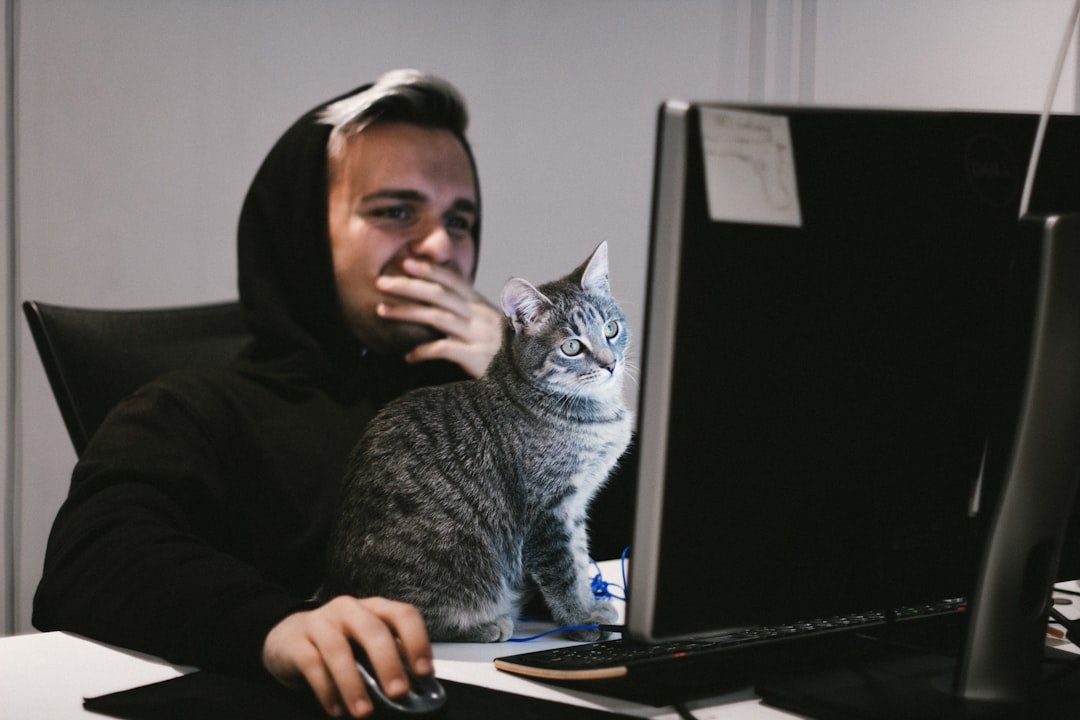 Chat Gratis Senza Java