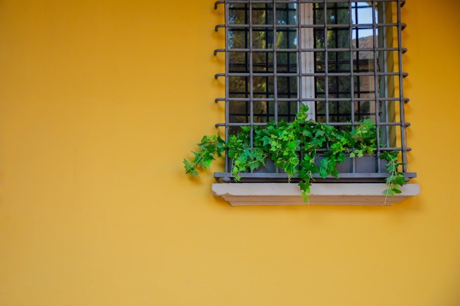 Photo Chat Bologna