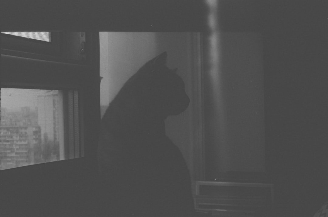 Photo Chat Anonima Per Quarantenni