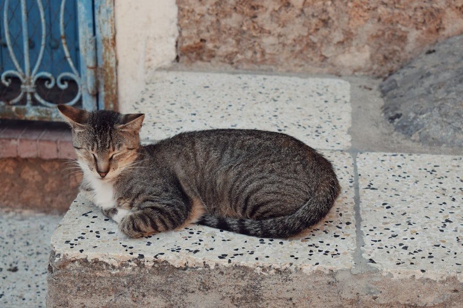 Photo Lesbo Chat