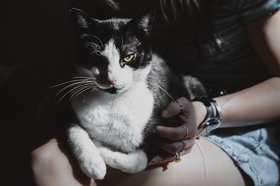 Photo Chat Quarantenni Gratis